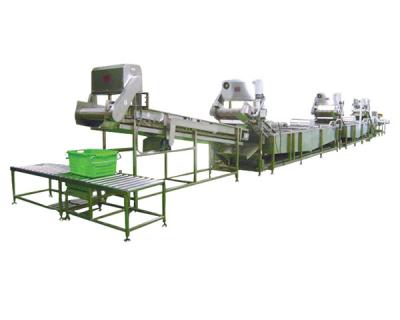 O-101-1連續式大型葉菜清洗機